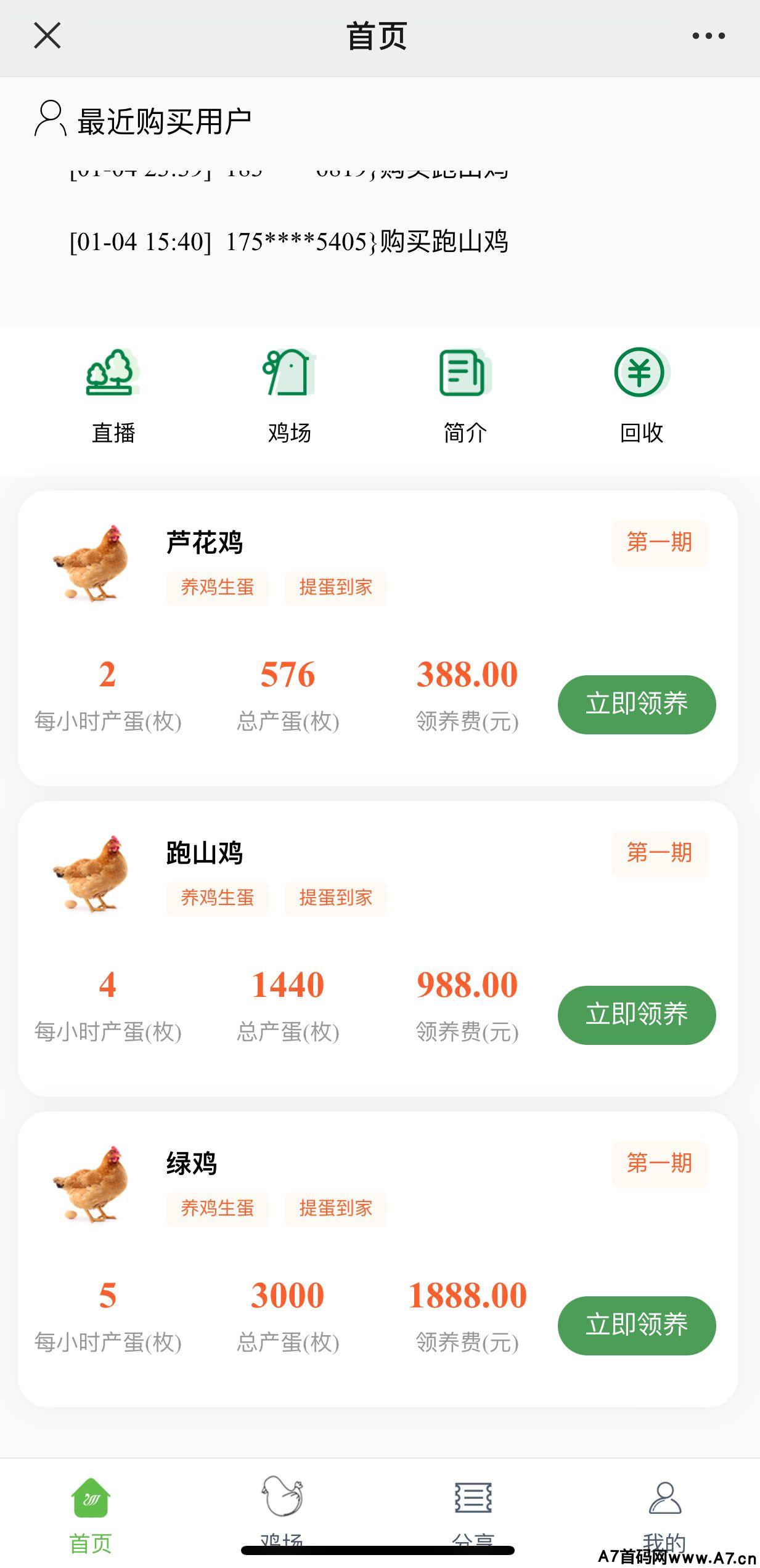 首页朋友圈,养鸡养殖刚开一秒,对接各大团长或个人,稳定平台,新玩法新扶持