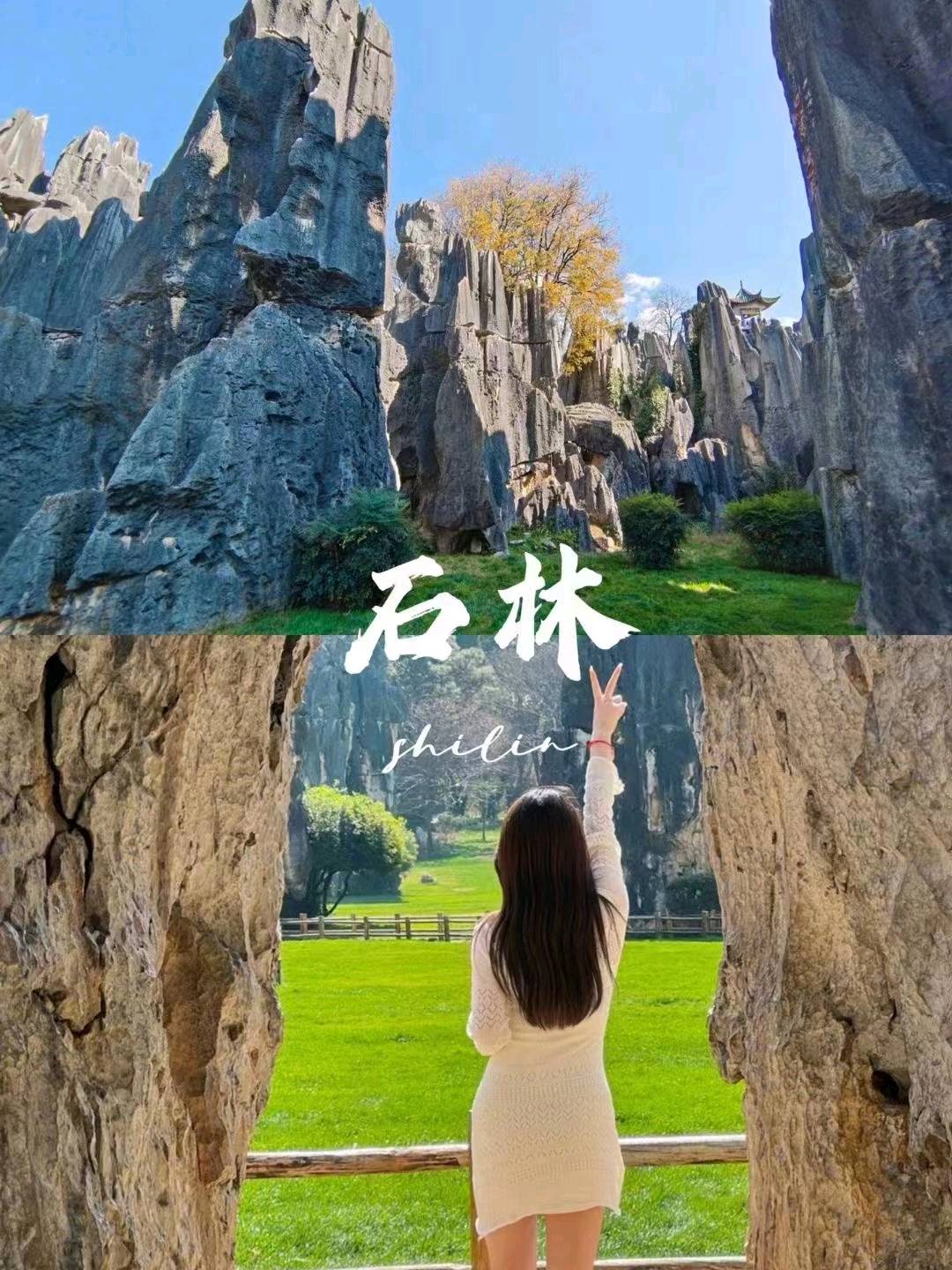  旅游卡免费招商