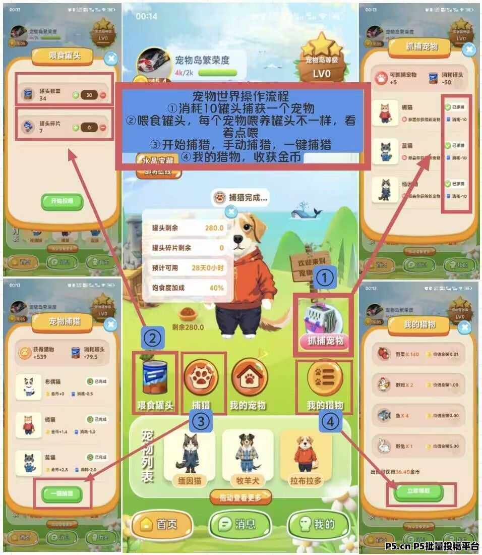 宠物世界，可以零撸也可以小投，图片教程玩法