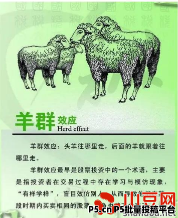 羊群效应.jpg