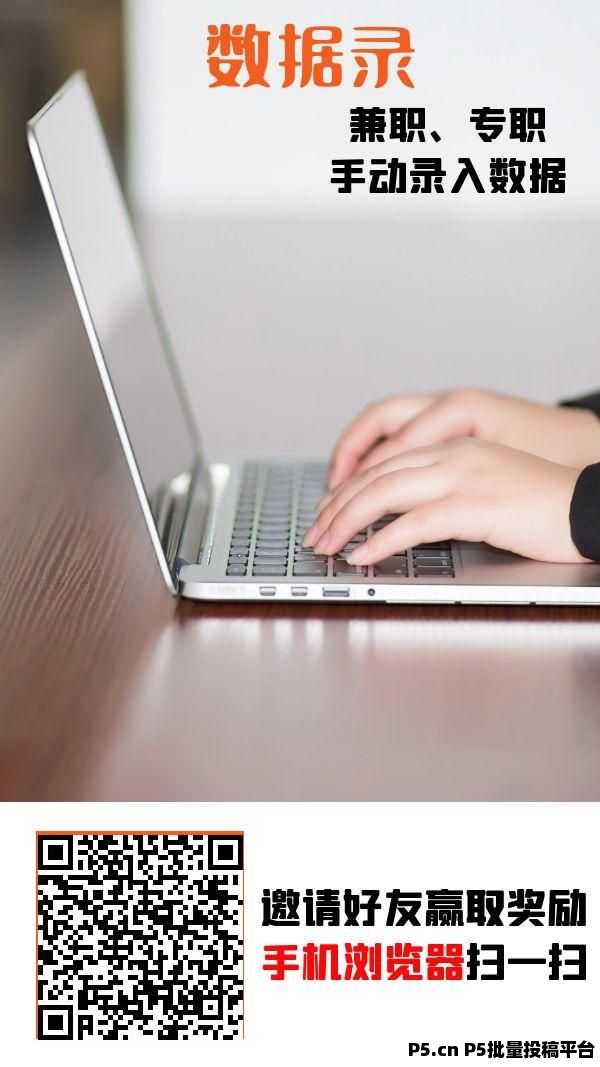 数据录,简单只需要打字就可以,轻松赚零花钱