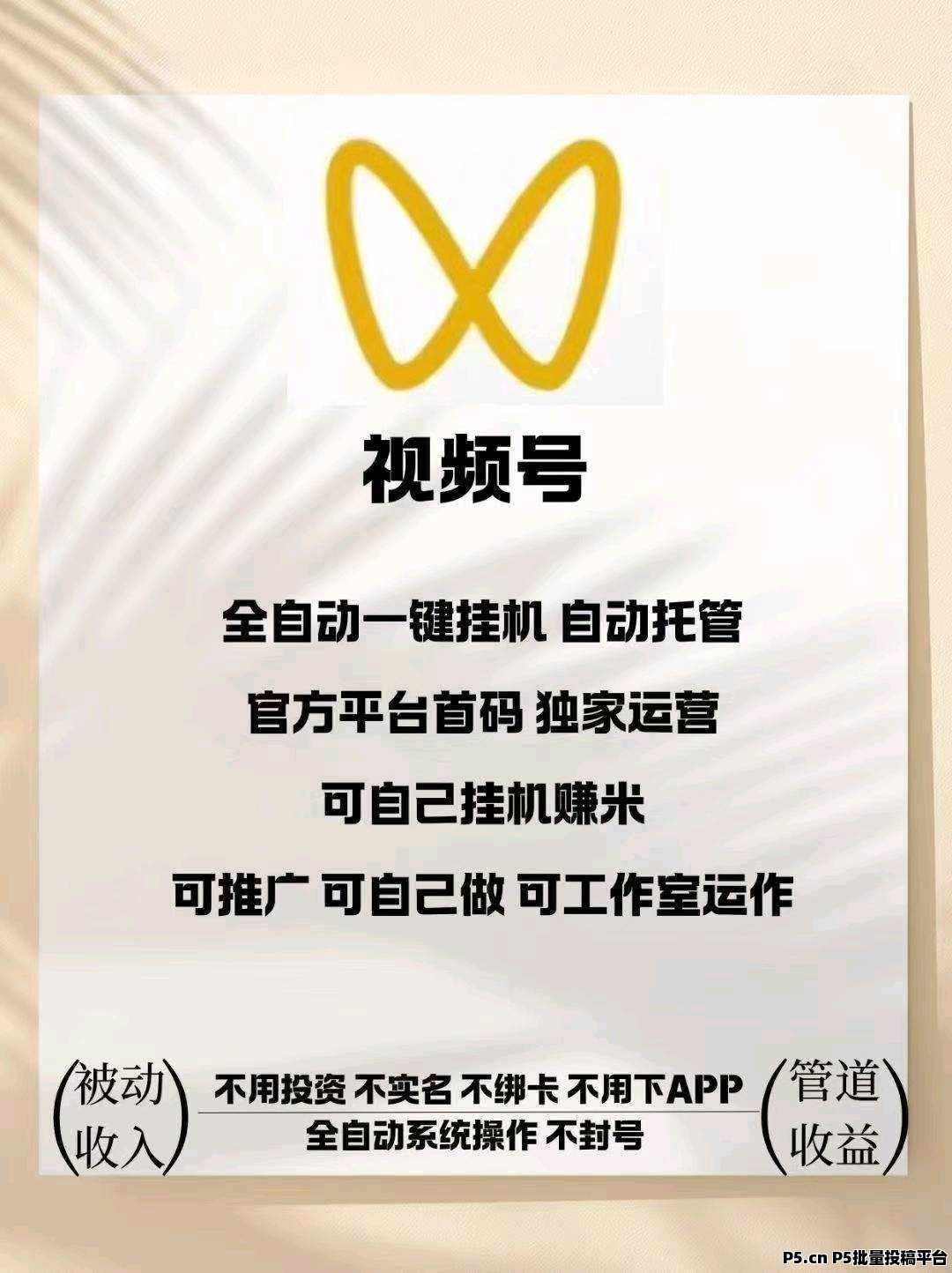 一斗米挂机,新机遇重大更新,2025视频号挂机最稳躺赚项目!