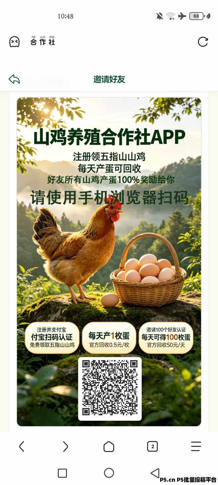 山鸡养殖合作社免费领取山鸡
