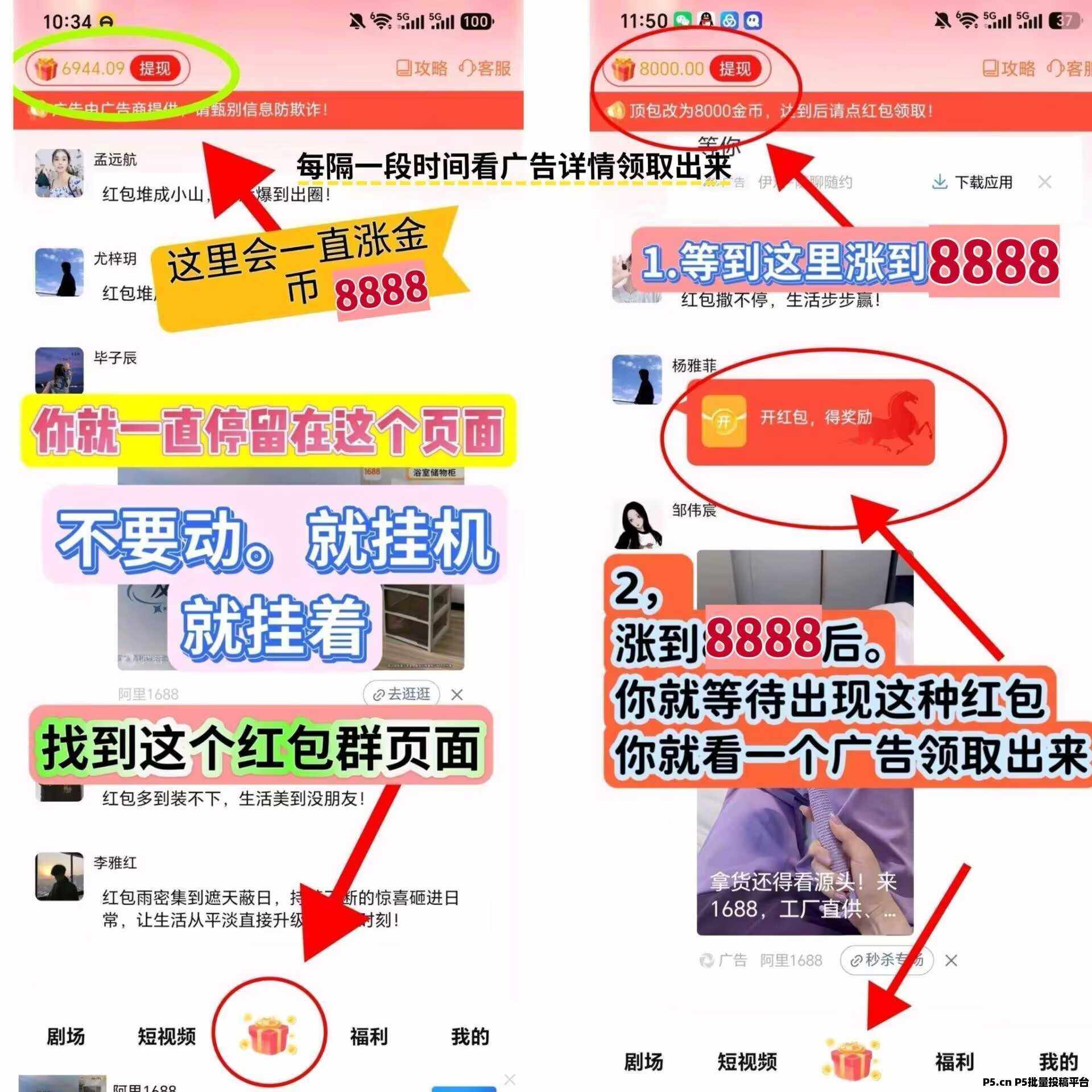 首码粉宝众望，重磅上线